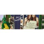 20-08-2015 - MCS_Marketing - Tabaluga mit Fotobox - banner.jpg